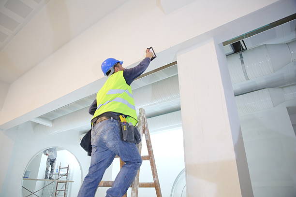 Best Ceiling Drywall Installation  in Fresno, TX